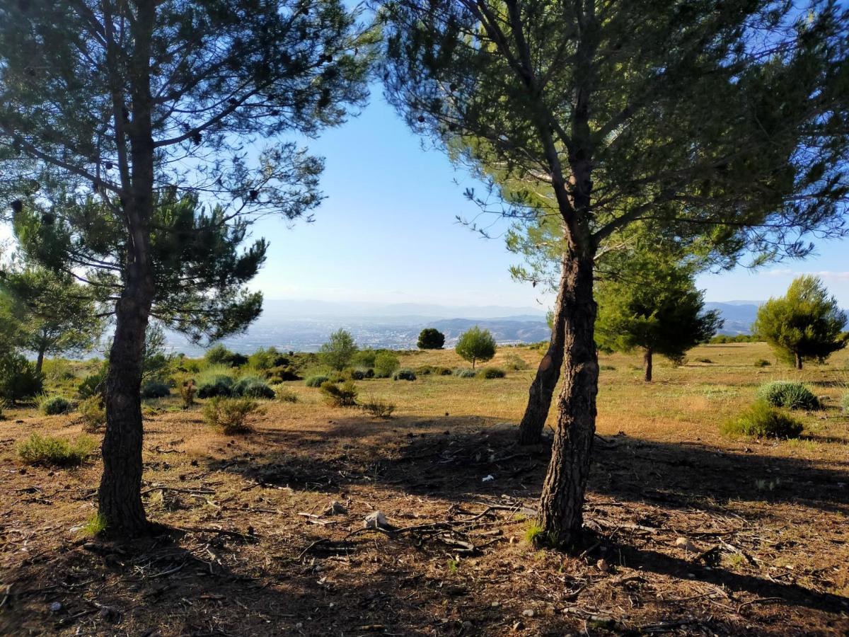 El Mirador De Granada Διαμέρισμα La Zubia  Εξωτερικό φωτογραφία